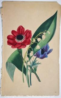 Pages of Hand Colored Engravings of Flowers from "The Romance of Nature Or The Flower-Seasons" Illustrated by Anne Twamley, Published by Charles Tilt, London, 1836