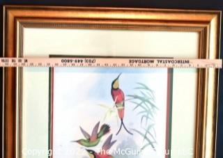 Framed Under Glass Hand Colored Hummingbird Lithograph, Crimson Topaz Hummingbird, Topaza Pella By John Gould & H C Richter From The 1861 Folio " A Monograph Of The Trochilidae, Or Family Of Humming-Birds" C. 1861. Measures 27" x 33".