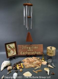 Collection of Wind Chimes, Seashells, Wood Sign In Latin, Tobacco Tin, Clothes Pins And Wooden Knobs. 