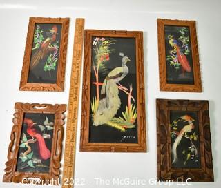 Five (5) Vintage Framed Souvenir Feathercraft Art Birds Made In Toluca Mexico with Real Bird Feathers.