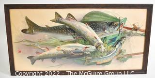 3 Dimensional Embossed Victorian Colored Fish Print. Framed Under Glass. 13 x 24 1/2"