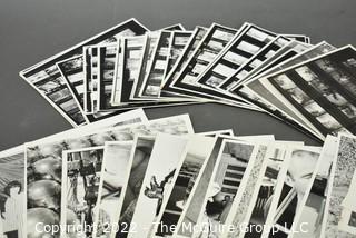 Large Number of B&W Photographic Contact Sheets and 8 x 10"'s Attributed to Julie Snow