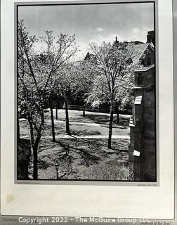 "Festival of the Arts". University of Chicago Poster circa 1970's