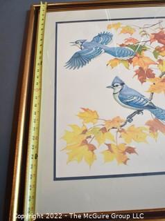 Framed Under Glass Lithograph Titled "The Blue Jay" Signed by Artist Albert Earl Gilbert Dated 1976 with Certificate of Authenticity. 27" x 30".