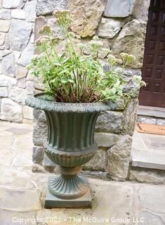 Two (2) Cast Iron Pedestal Urn Planters. 27" tall