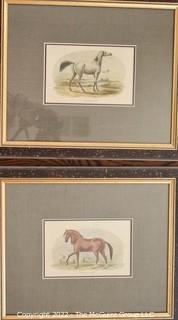 Two (2) Framed Under Glass Hand Colored Etchings of Horses.  Each measure 12" x 14".