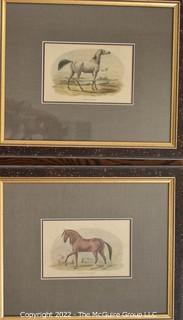 Two (2) Framed Under Glass Hand Colored Etchings of Horses.  Each measure 12" x 14".