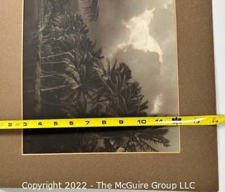 Unframed Mounted Vintage Sepia Tone Photo of Tropical Island