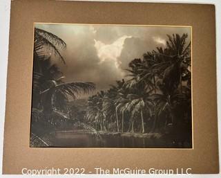 Unframed Mounted Vintage Sepia Tone Photo of Tropical Island