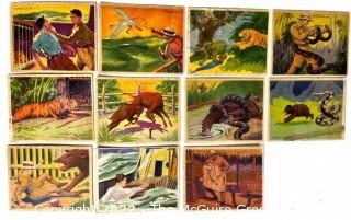 Selection of 11 1938 R55 Gumakers of America Frank Buck trading cards