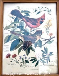 Set of Three (3) Framed Under Glass Arthur Singer Bird Prints.