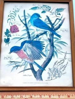 Set of Three (3) Framed Under Glass Arthur Singer Bird Prints.