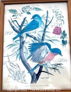 Set of Three (3) Framed Under Glass Arthur Singer Bird Prints.