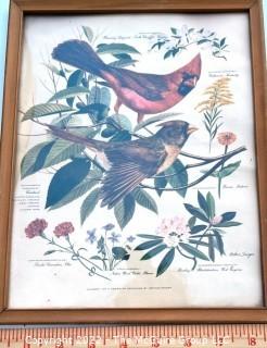 Set of Three (3) Framed Under Glass Arthur Singer Bird Prints.