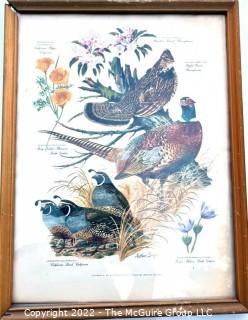 Set of Three (3) Framed Under Glass Arthur Singer Bird Prints.