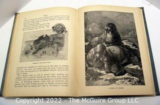 Selection of Animal Themed Children's books: Aseop's 1900's - 1960's