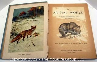 Selection of Animal Themed Children's books: Aseop's 1900's - 1960's