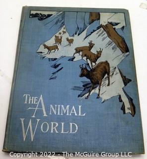 Selection of Animal Themed Children's books: Aseop's 1900's - 1960's