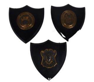 Three (3) Wood and Brass Wall Plaques including George Washington University and Dartmouth College.