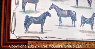 Framed Under Glass Horses Chevaux Poster   30" x 40"'.