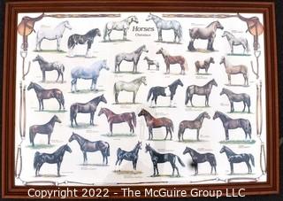 Framed Under Glass Horses Chevaux Poster   30" x 40"'.