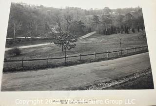 10 1/4 x 13 1/4" 19th C B&W Photo "Ridge Road to Broad Branch Road", Rock Creek Park, Washington DC with imprinted seal photographers H.A. Helm & Co. 