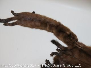 (4) 1930's-40's Tanned Mink Fur Pelts