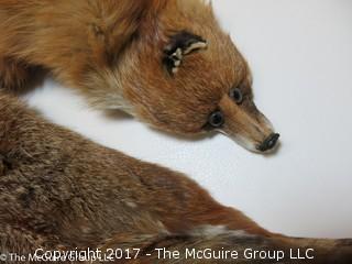 (2) 1930's-40's Tanned Mink Fur Pelts