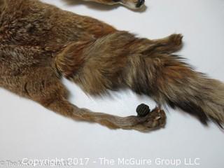 (2) 1930's-40's Tanned Mink Fur Pelts