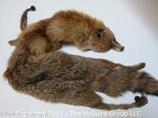 (2) 1930's-40's Tanned Mink Fur Pelts