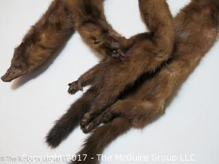 (4) 1930's-40's Tanned Mink Fur Pelts