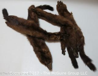 (4) 1930's-40's Tanned Mink Fur Pelts