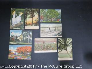 (#2108) Vintage Unused Postcards