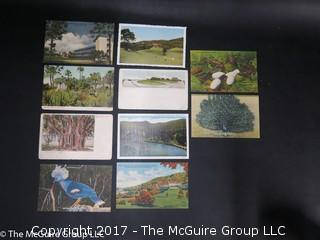 (#2111) Vintage Unused Postcards