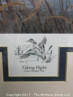 (#1527) Framed Green Winged Teal Taking Flight; 1991; signed Bill Pendergrass