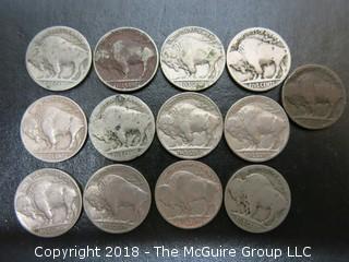 COLLECTION OF BUFFALO NICKELS 