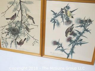 Pair of Framed Ornithological Prints; each 18 x 24" 