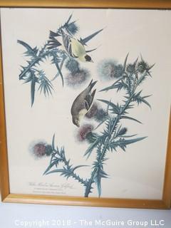 Pair of Framed Ornithological Prints; each 18 x 24" 