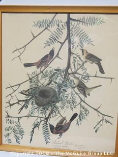 Pair of Framed Ornithological Prints; each 18 x 24" 