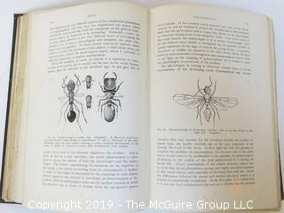 Book Title:"Ants: Their Structure, Development and Behavior" by William Morton Wheeler; Columbia University Press, 1910