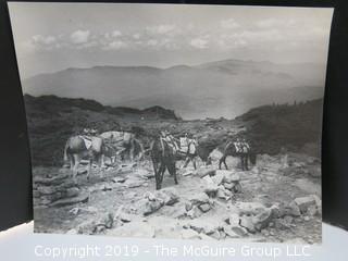 7 1/2" x 9 1/2" professional B&W photo, circa 1940, Appalachian Mountain Trail   