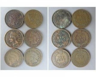 (6) 1898 Indian Head Cents