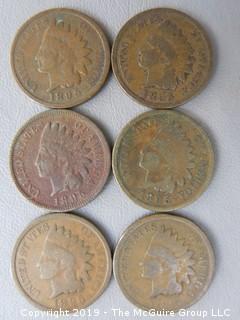 (6) 1895 Indian Head Cents