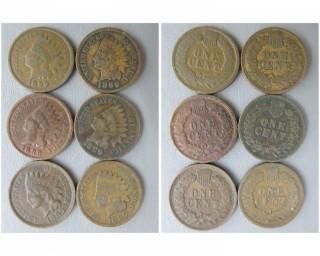 (6) 1899 Indian Head Cents