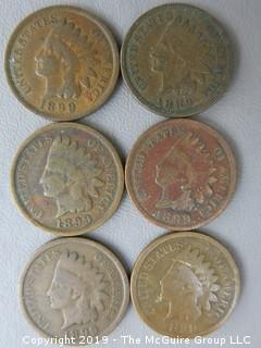 (6) 1899 Indian Head Cents