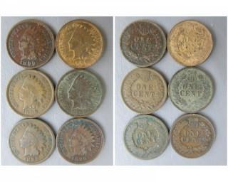 (6) 1899 Indian Head Cents