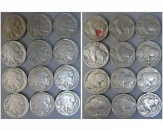 (26) Misc Buffalo Nickels 