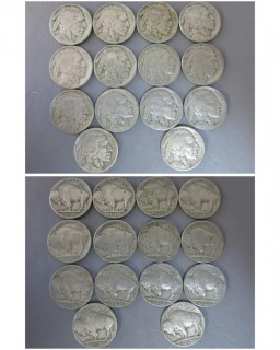 (14) 1929-S Buffalo Nickels 