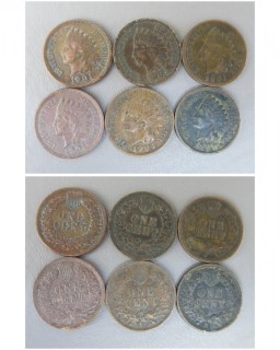 (6) 1901 Indian Head Cents