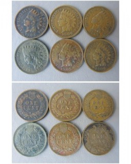 (6) 1906 Indian Head Cents